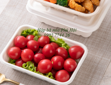 Hộp bã mía 1 ngăn kèm nắp bã mía 700ml
